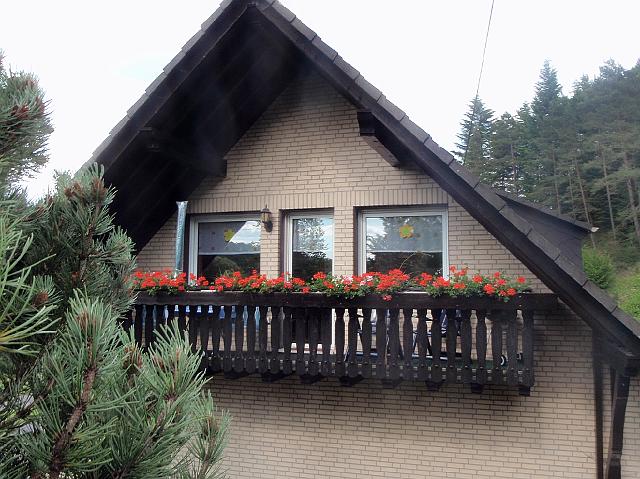 P6250013Neu.jpg